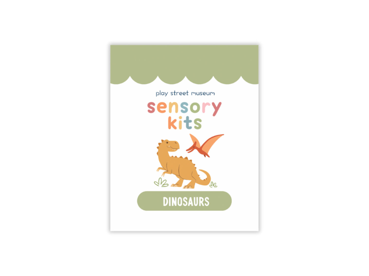 PSM Dino Sensory Kit (NEW)