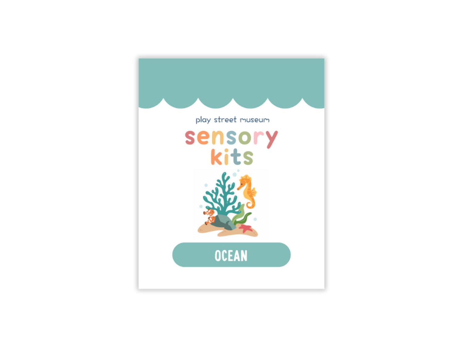 PSM Ocean Sensory Kit (NEW)