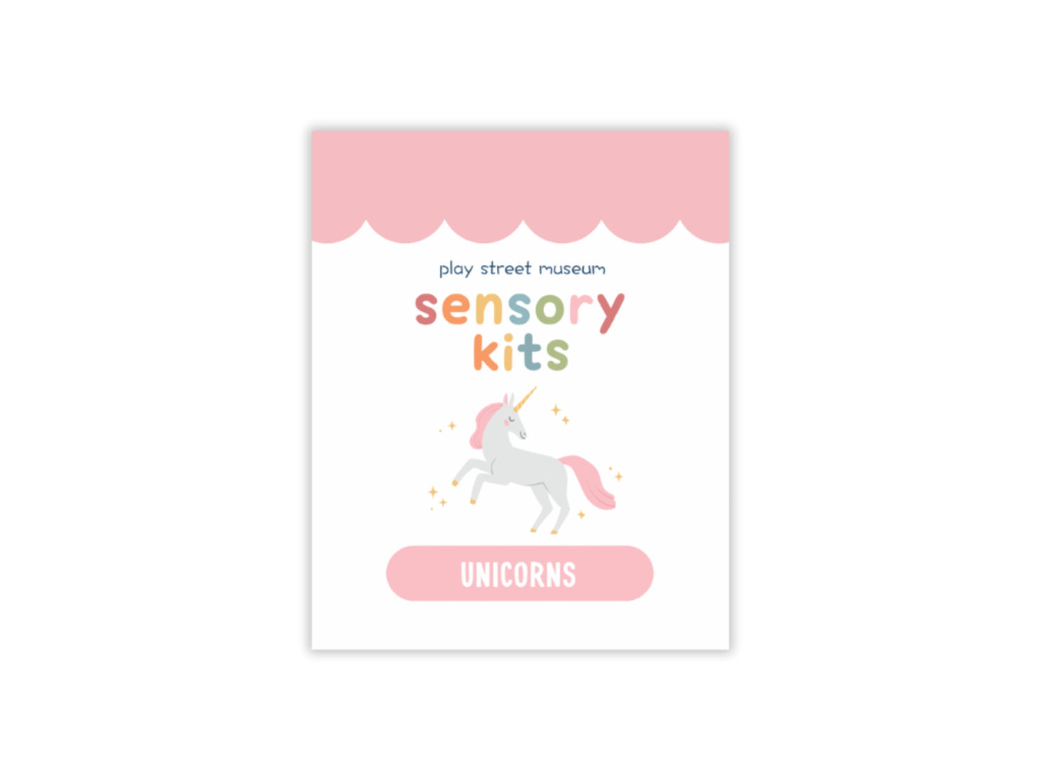 PSM Unicorn Sensory Kit (NEW)